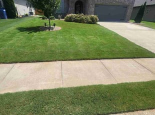 Jennifer F.'s lawn care service result