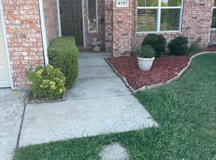 Sheila K.'s Bush Trimming service result