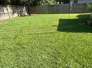 Jimmie S.'s landscaping service result