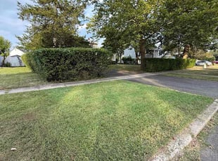 Stephon T.'s Bush Trimming service result