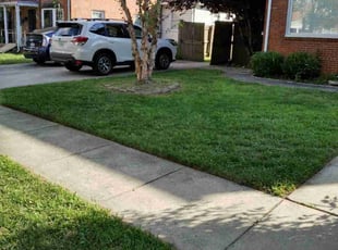 Kirk J.'s lawn service service result