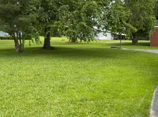 Sarah B.'s lawn care services service result