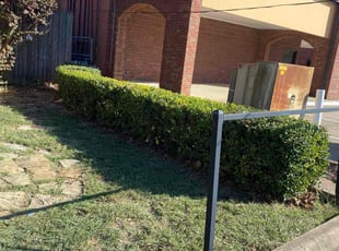 Diana W.'s Bush Trimming service result