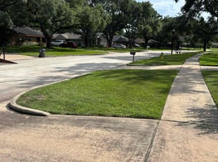 Nikki R.'s yard service service result
