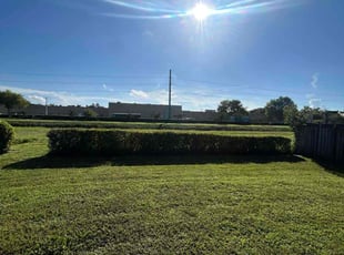 Olumide O.'s Bush Trimming service result