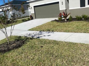 Alberto R.'s grass cutting service result