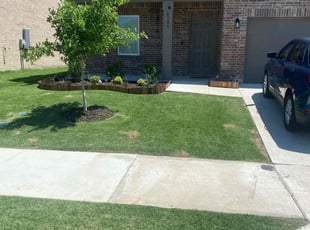 Lisa R.'s grass cutting service result