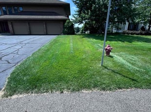 Rita R.'s lawn care service result