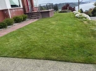 Anthony S.'s lawn service service result