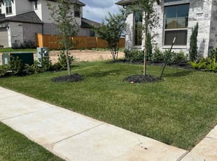 Damon M.'s turf care service result