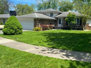 Sandy V.'s turf care service result