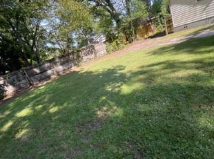 Robert C.'s lawn maintenance service result