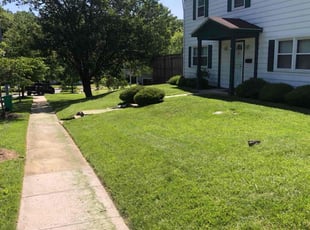 Sarah B.'s lawn care service result