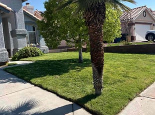 Robyn D.'s turf maintenance service result