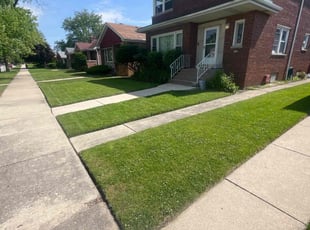 Darryl R.'s lawn service service result