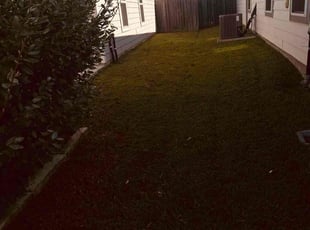 Ashley T.'s lawn maintenance service result