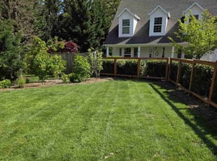 Lee M.'s turf care service result