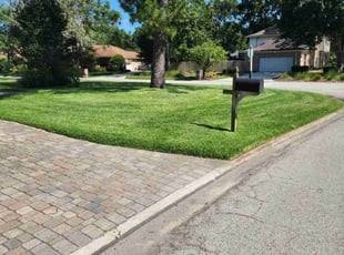 Rhonda S.'s turf care service result