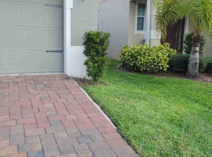 Aaron G.'s lawn care service result