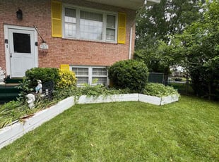 Marguerite D.'s Bush Trimming service result
