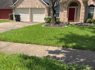Nicki L.'s turf care service result