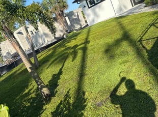 Kip K.'s lawn maintenance service result