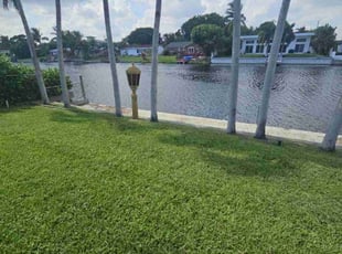 George Y.'s grass maintenance service result