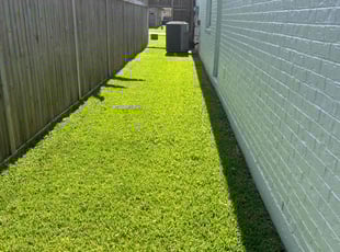 Jeffrey T.'s turf care service result