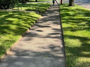 Bill P.'s grass maintenance service result