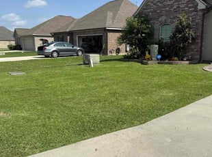 Maria D.'s turf maintenance service result