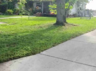 Corey K.'s grass maintenance service result