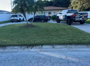 Danielle F.'s lawn service service result