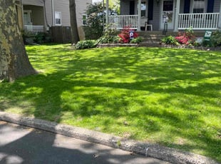 Chris M.'s residential landscaping service result