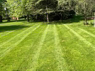 Cera L.'s grass cutting service result
