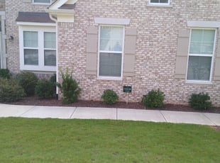 Rebecca W.'s Bush Trimming service result
