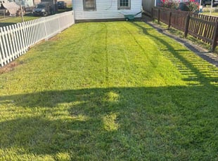 Jessica K.'s grass cutting service result