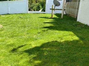 TaCreacia B.'s lawn care service result