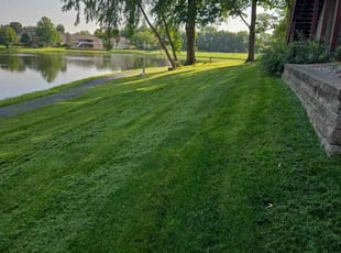 Drake W.'s grass cutting service result