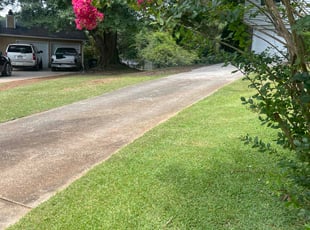 Hayden R.'s grass maintenance service result