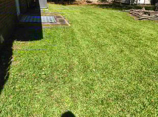 Kerry W.'s grass cutting service result