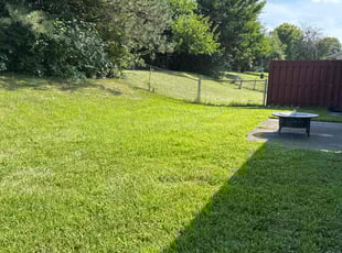 Ray A.'s lawn service service result