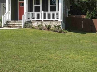 Abby M.'s lawn care service result