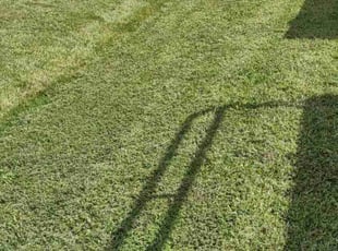 Karen B.'s grass maintenance service result