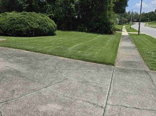 Henry Z.'s lawn care services service result