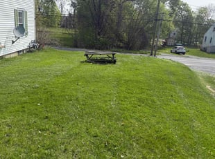 Beth L.'s lawn care services service result