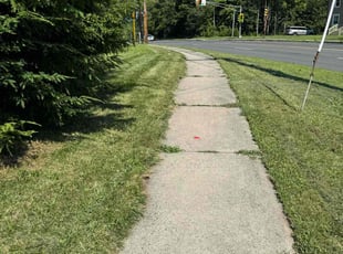 Arpit P.'s grass maintenance service result