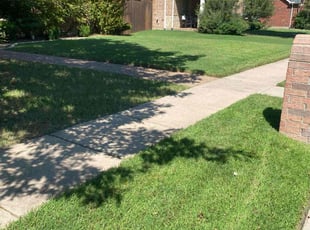 Julius L.'s lawn care services service result