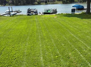 Craig R.'s turf care service result