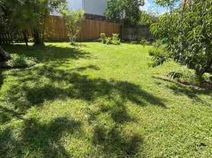 Libby P.'s lawn maintenance service result