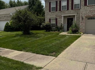 Tammy P.'s lawn maintenance service result